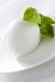 Buffalo mozzarella and basil