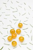 Yellow cherry tomatoes and scattered rosemary leaves