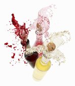 Wein spritzt aus den Flaschen (Rotwein, Rosewein, Weißwein)