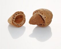 Almond, partially in the shell