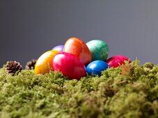 Colourful Easter eggs on moss