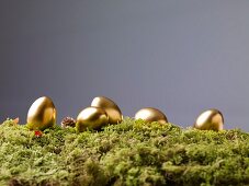 Golden Easter eggs on moss