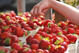 A child's hand pointing to strawberries in paper punnets
