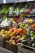 Organic fruit and vegetables in a greengrocers