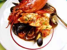 Lobster and mussel stew on plate with fork