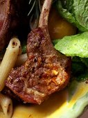 Barbecued lamb chops with pasta and salad