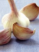 Garlic with cloves of garlic