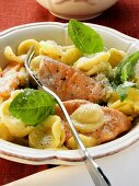 Orecchiette with salmon and basil