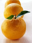 Orangen in einer Reihe