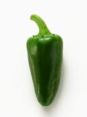 Grüne Chilischote (Jalapeno Peppers)