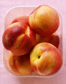 Nectarines with drops of water in plastic container from above