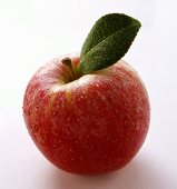 Red apple with stalk, leaf and drops of water