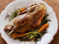 Roast wild duck with herbs and carrots