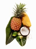 Ananas, Papaya, Kokosnuss und Limetten auf Palmenblatt