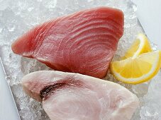 Swordfish and tuna on crushed ice