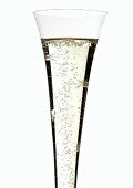 Festive champagne flute