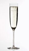 Champagne glass