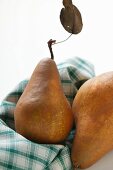 Brown pears on checked cloth