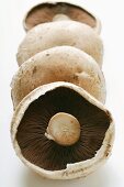 Portobello mushrooms (caps) in a row