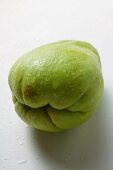 Chayote with drops of water