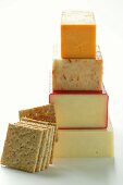 Various types of cheese, in a pile; cracker