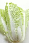 Fresh Chinese cabbage