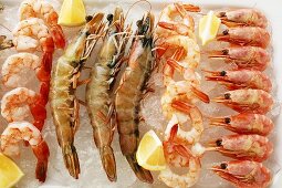 Various types of shrimps with lemons on crushed ice