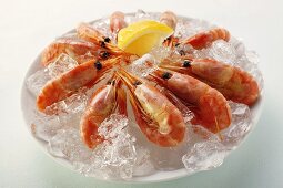 Shrimps with lemon on crushed ice