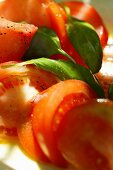 Tomatoes with fresh basil