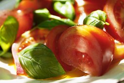 Tomatoes with fresh basil