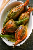 Marinated stuffed courgette flowers