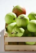 Granny Smith apples in crate