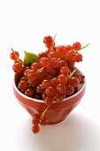 Redcurrants in bowl
