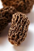 Dried conical morels