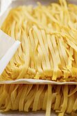 Ribbon pasta on paper