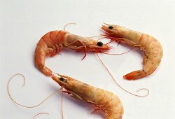Three cooked, unpeeled shrimps