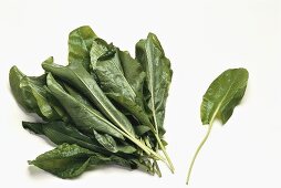 Fresh sorrel leaves