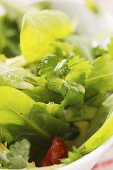 Wild herb salad (close-up)