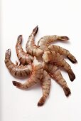Several king prawns without heads