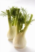 Fresh fennel