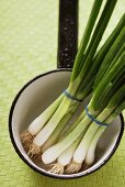 Spring onions, in bunches, in small pan