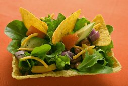 Mexican salad with vegetables and taco chips in taco shell