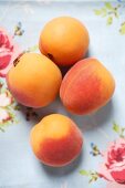 Four apricots on floral tablecloth