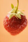 A Single Ripe Strawberry