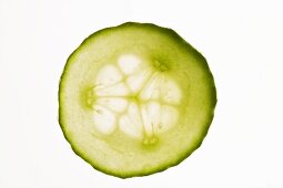 Slice of cucumber, backlit