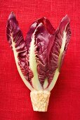 Radicchio auf rotem Untergrund