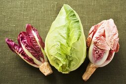 Pointed cabbage and radicchio on green background