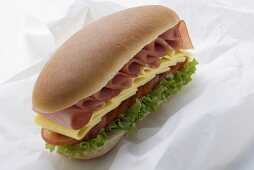 Sub-Sandwich auf Butterbrotpapier