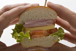 Hands holding ham and cheese sub sandwich