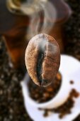 Roasted coffee bean (steaming)